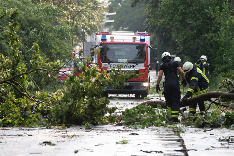 Bäume umgestürzt, Telefone streiken: Unwetter sorgt stellenweise für Chaos in NRW!