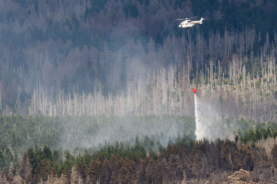 Löschflugzeuge und Frühwarnsysteme sollen im Nationalpark Harz Abhilfe schaffen.