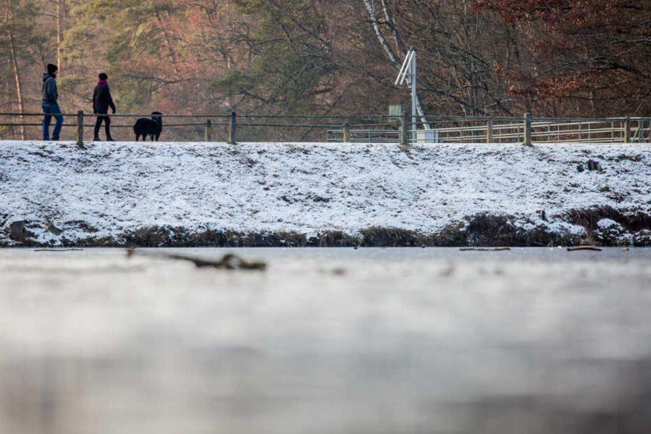 Der Bärensee in Stuttgart: Auf der Oberfläche hat sich Eis gebildet. Doch trägt das?