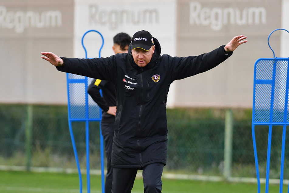 Engagiert: Dynamo-Trainer Maik Walpurgis ließ verstärkt Angriffe und Abschlüsse üben.