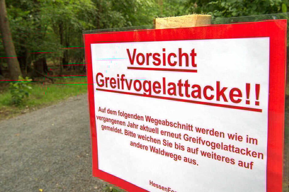 Ein Schild warnt Spaziergänger vor Greifvogelattacken.