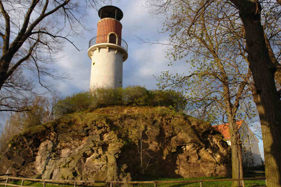 Ein Hund ist am Hohen Stein in Dresden abgestürzt. (Archivbild)
