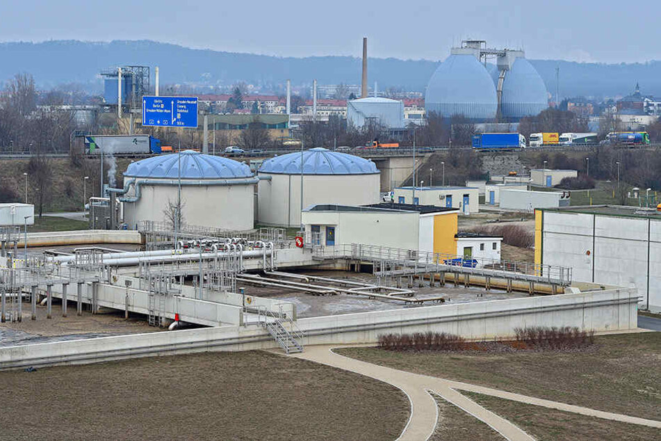 Die Kaditzer Kläranlage soll zur blühenden Insektenwiese werden.