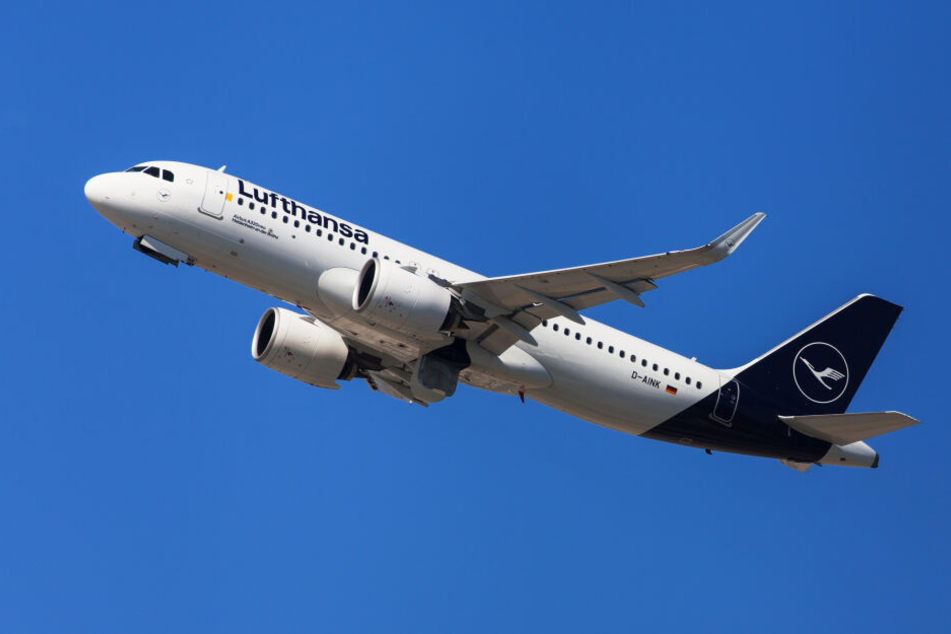 Die Lufthansa-Maschine musste rund 40 Minuten nach dem Start nach Frankfurt zurückkehren (Symbolbild).