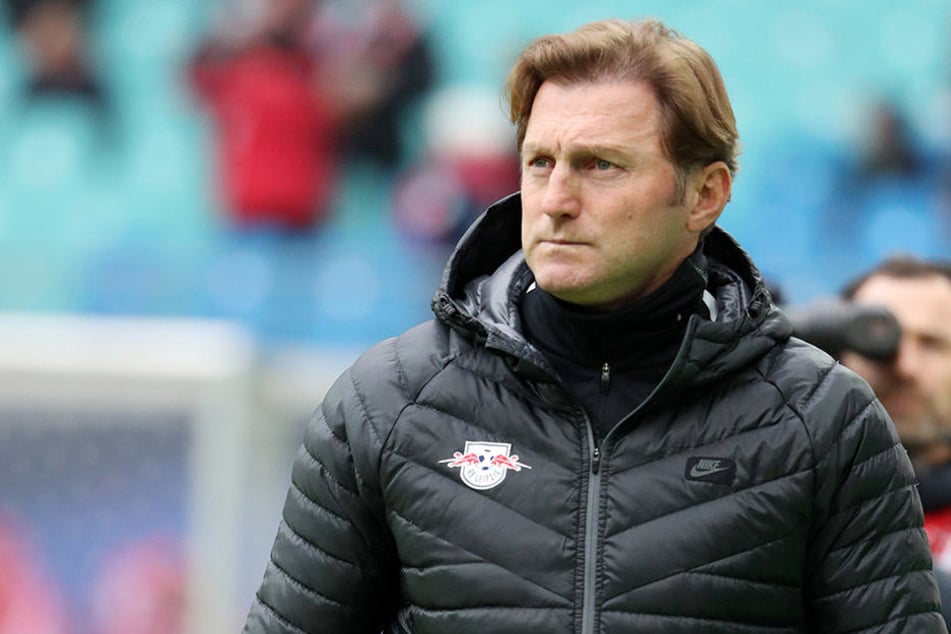 Nach der 0:3-Pleite gegen den HSV will Hasenhüttl Ergebnis-Fußball von seinen Spielern sehen.