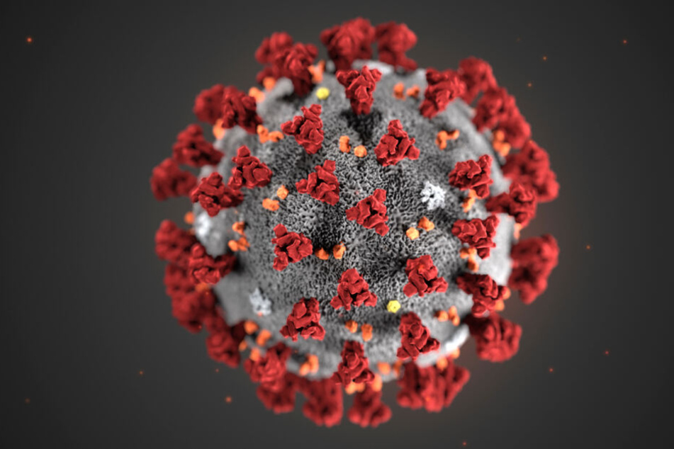 Das Coronavirus sorgt derzeit weltweit für erhebliche Aufregung.