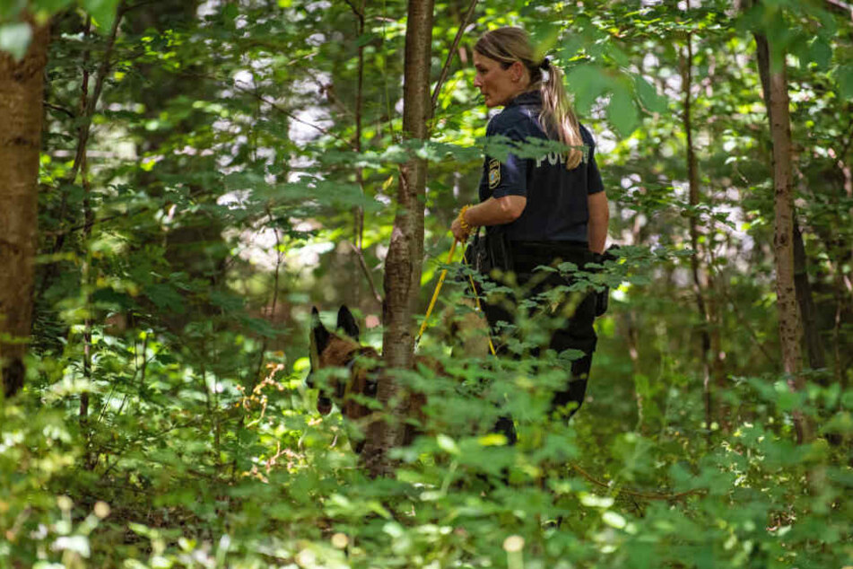 Eine Polizistin sucht mithilfe eines Suchhundes in einem Waldstück nach Hinweisen.