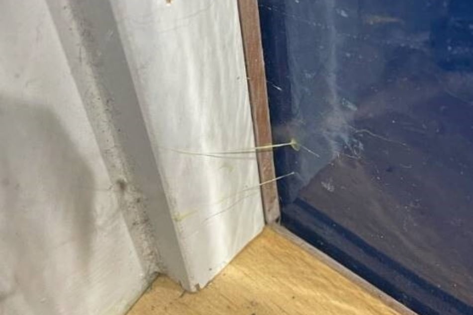 Bleiben die Klebefäden über eine längere Zeit unbeschädigt, wittern Einbrecher ihre Chance.