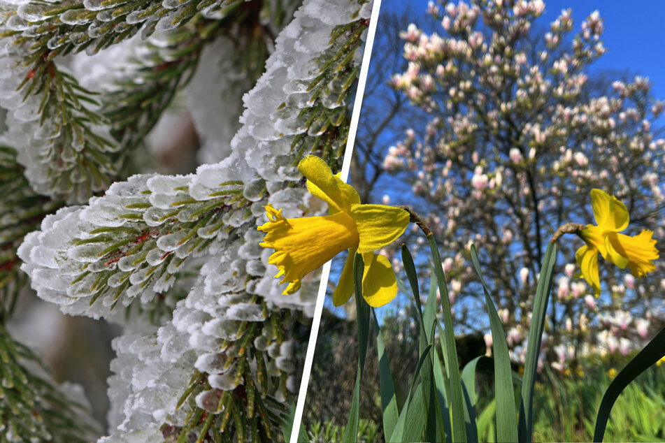 Wildes April-Wetter sorgt erst für Schnee - danach mehr als 20 Grad!