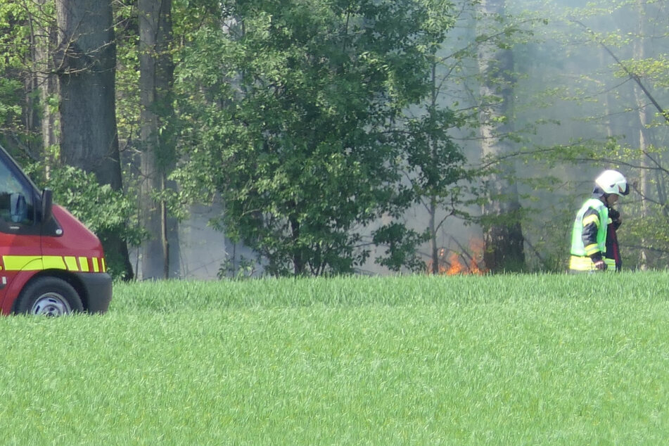 In Klinga im Landkreis Leipzig hat die Feuerwehr am Montagmittag einen Waldbrand bekämpft.