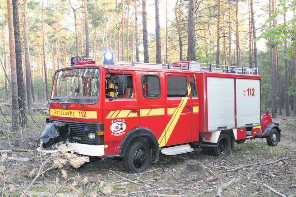 Schon wieder musste die Feuerwehr zu Waldbränden ausrücken.