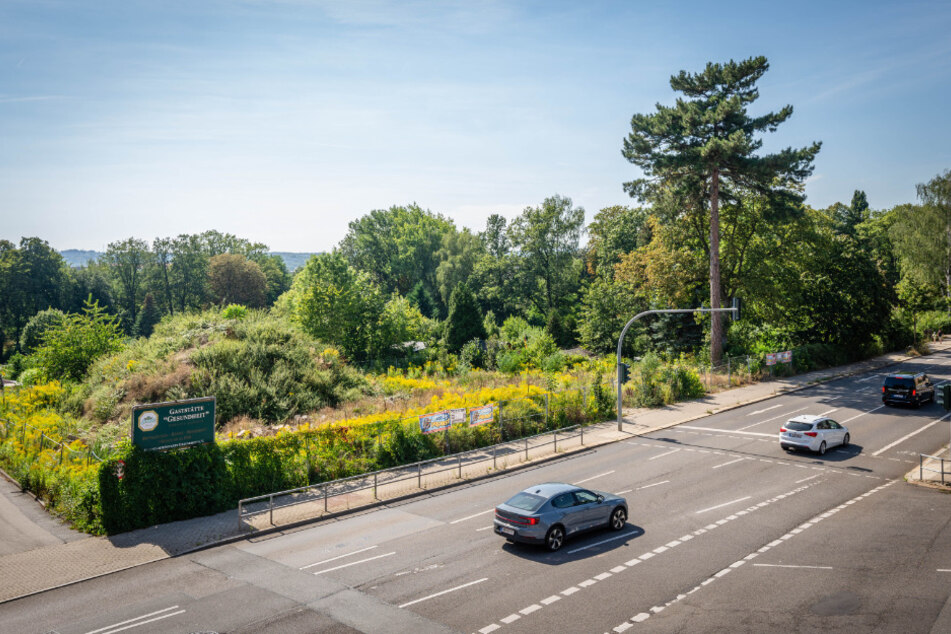 Der Schutthaufen der abgerissenen Ruine in der Zschopauer Straße 174 ist mittlerweile zugewuchert.