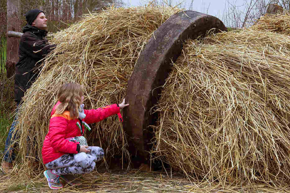 Vater Marius und Tochter Louisa inspizieren ein Osterrad aus Holz, das später brennend den Osterberg herunterrollen soll.