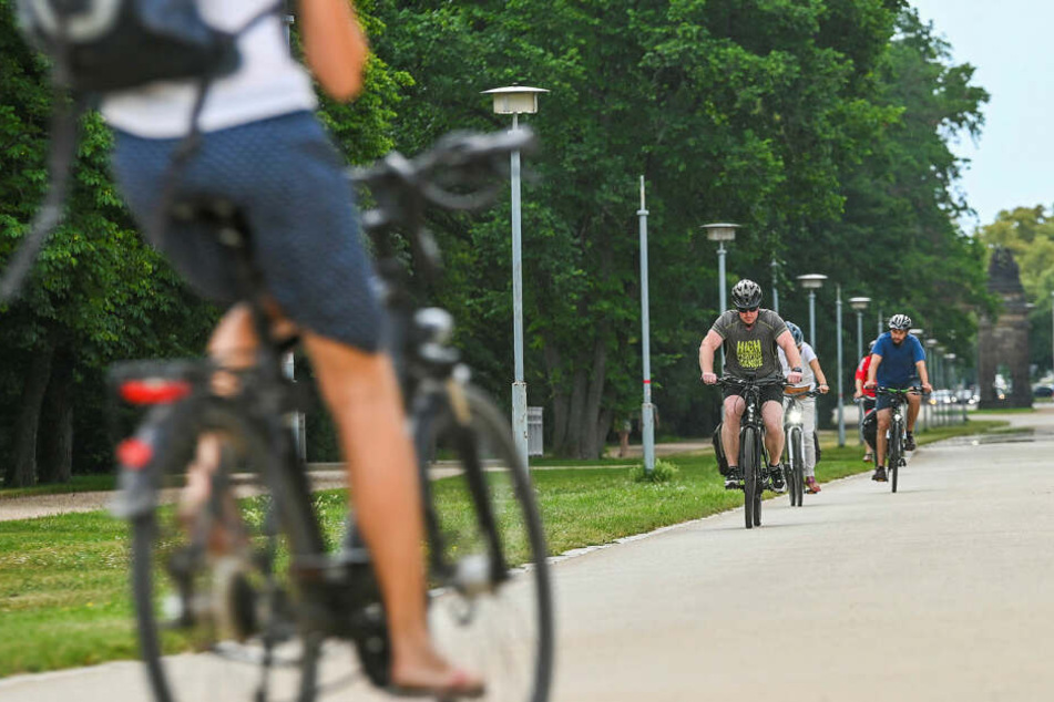Geht es nach den Grünen, fahren immer mehr Dresdner Rad.
