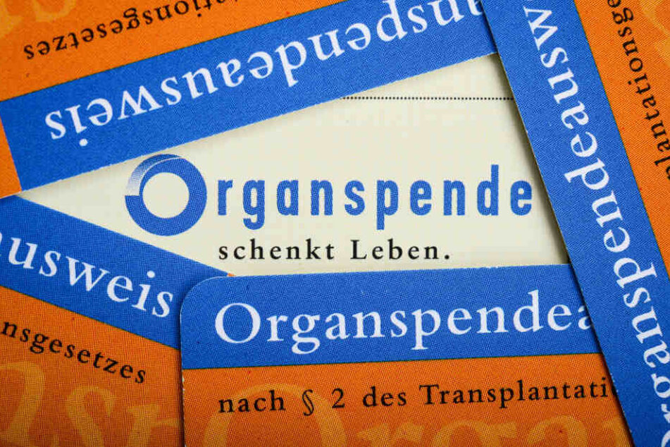 Organspendeausweise im Scheckkartenformat der Bundeszentrale für gesundheitliche Aufklärung (BZgA).