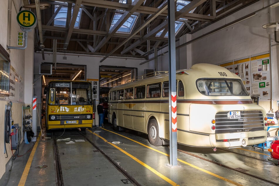 Noch stehen sie in den Hallen des Betriebshofes. Doch ab Montag rollen diese Ikarus-Busse wieder auf Dresdens Straßen.