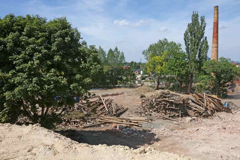 Auf dem "Aktivist"-Gelände sollen nach dem Abriss Grünflächen entstehen.