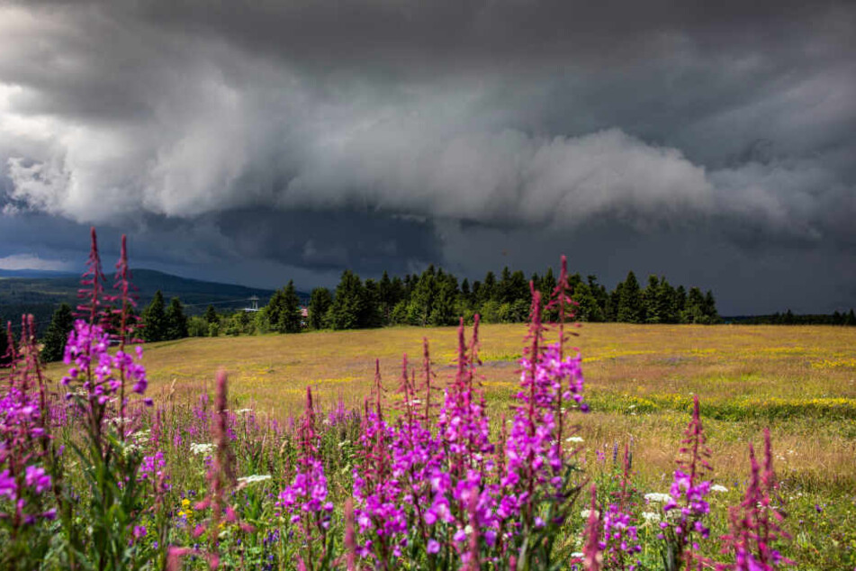 Am Sonntagnachmittag ist ein heftiges Gewitter über das Erzgebirge gezpgen.