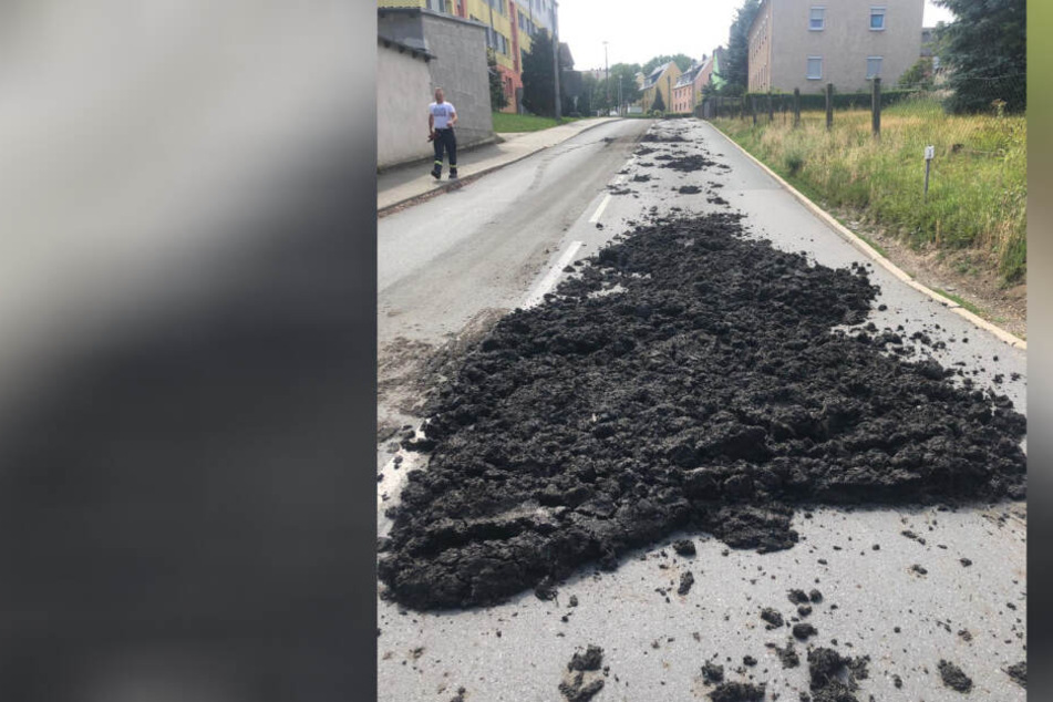 Die stinkende Fracht verteilte sich meterweit in der kompletten Straße.