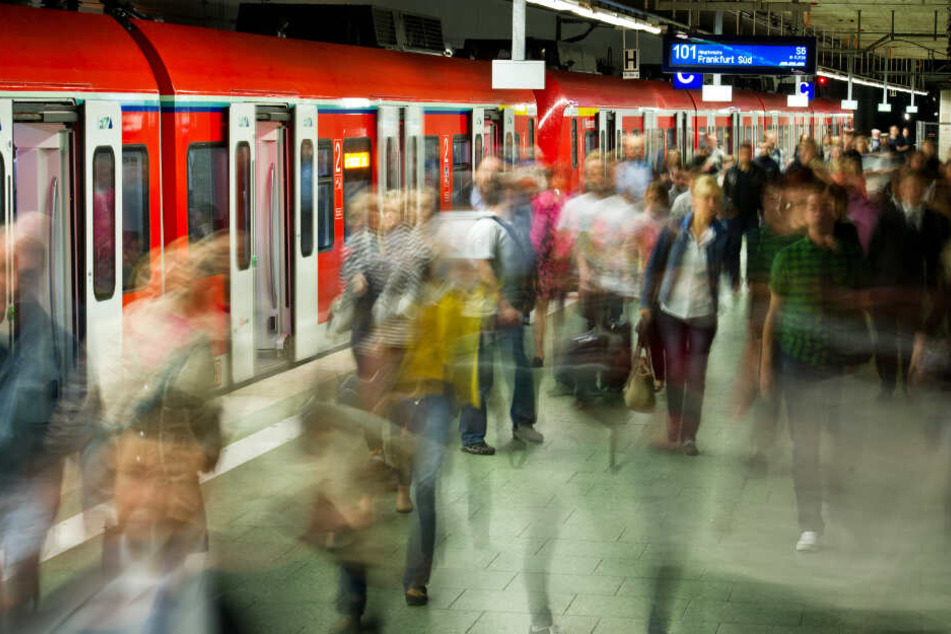 Die S-Bahnen in Frankfurt (Archivbild) sind ein wichtiger Bestandteil des ÖPNV in der Stadt.