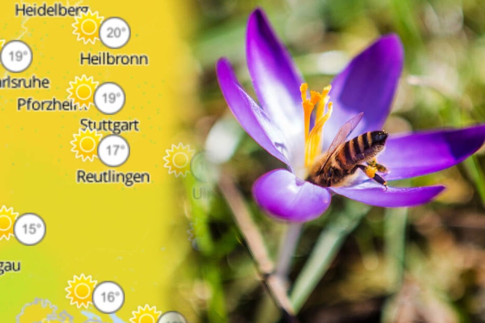 Auch am Wochenende können wir uns auf Sonne freuen. (Fotomontage)