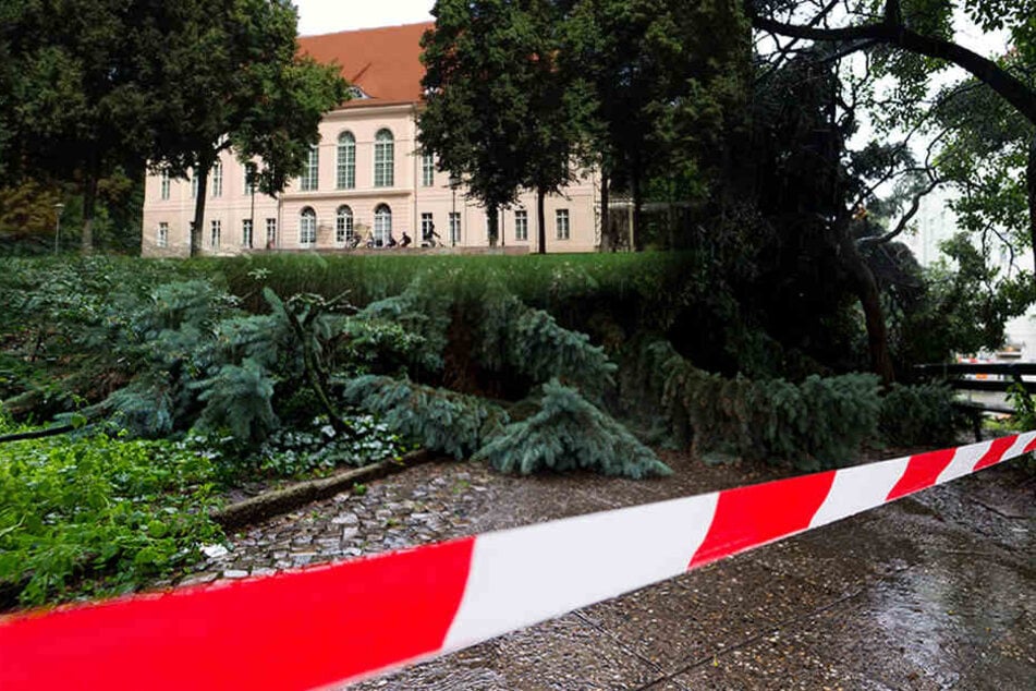 Der Park wird aller Voraussicht nach erst in zwei bis drei Wochen für die Besucher wieder zugänglich sein.