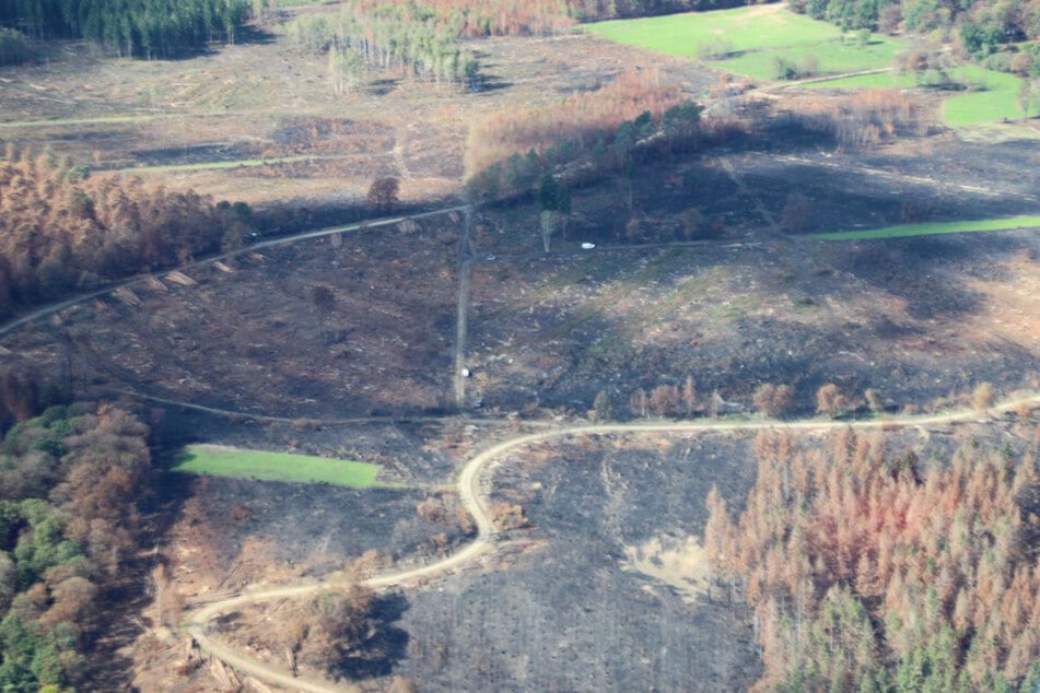 Allein in Hürtgenwald verbrannten nach Angaben des NRW-Landesbetriebes Wald und Holz etwa 300 bis 400 Quadratmeter Wald.