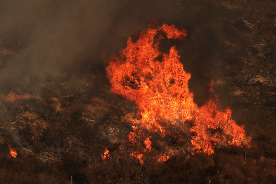 A wind-fanned wildfire quickly spread early on Tuesday in Malibu, threatening homes and businesses in the coastal California community where many Hollywood elites reside.