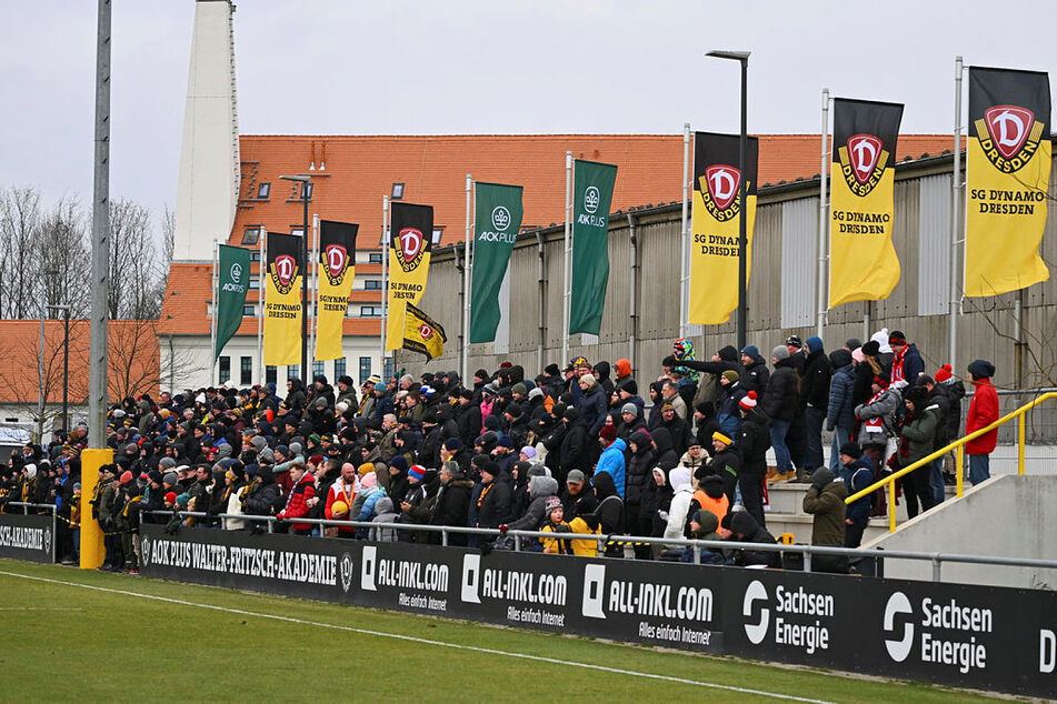 Knapp 350 Fans trotzten den niedrigen Temperaturen in Dynamos Trainingsakademie und wurden dafür belohnt.