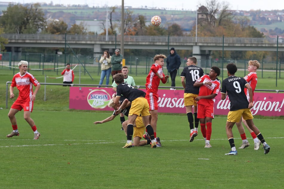 Dynamos B-Junioren konnten sich gegen den Halleschen FC mit 4:2 durchsetzen und einen Dreier einfahren. Für die U19 war in Jena hingegen nichts zu holen.