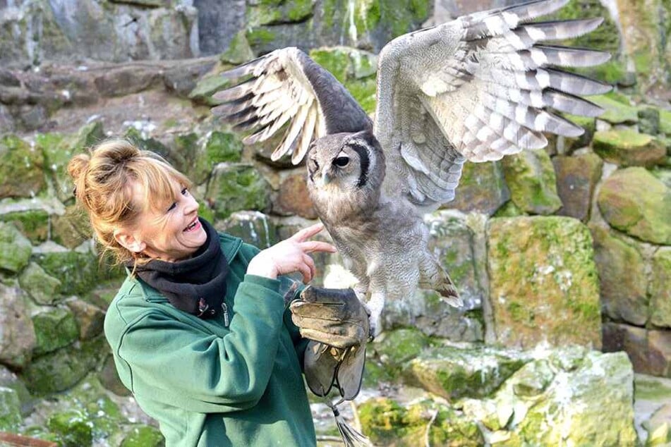 Pflegerin Heike Thiergen (57) mit "Tajo" - auch der Milchuhu ist im Ferienprogramm dabei.