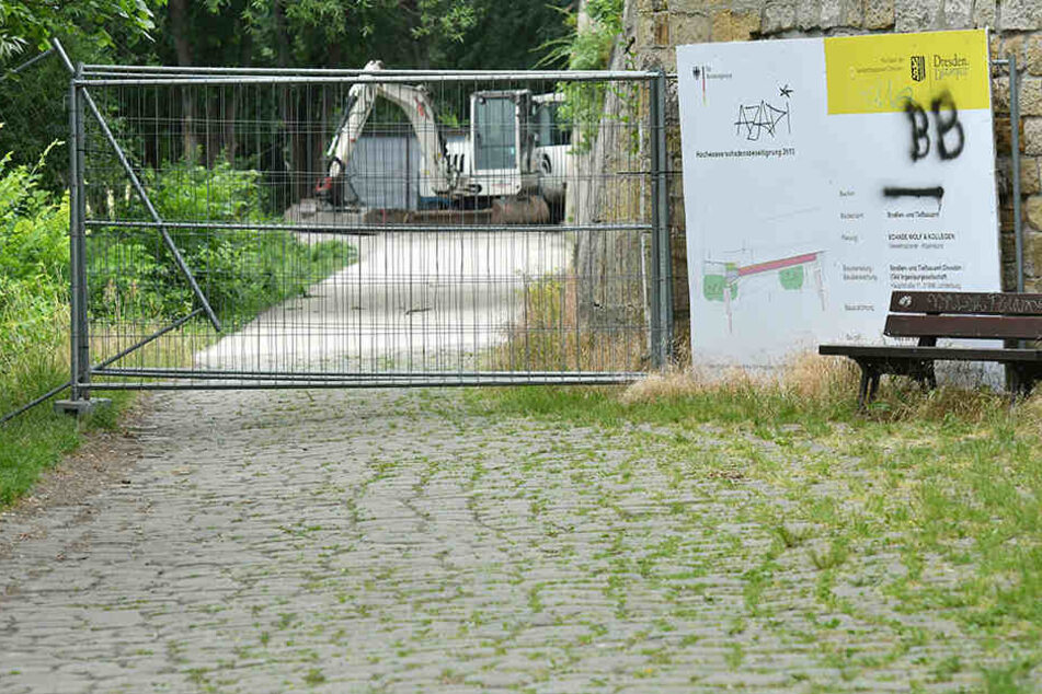 Der Elberadweg soll an dem Teilstück Jörnerweg ebenfalls saniert werden