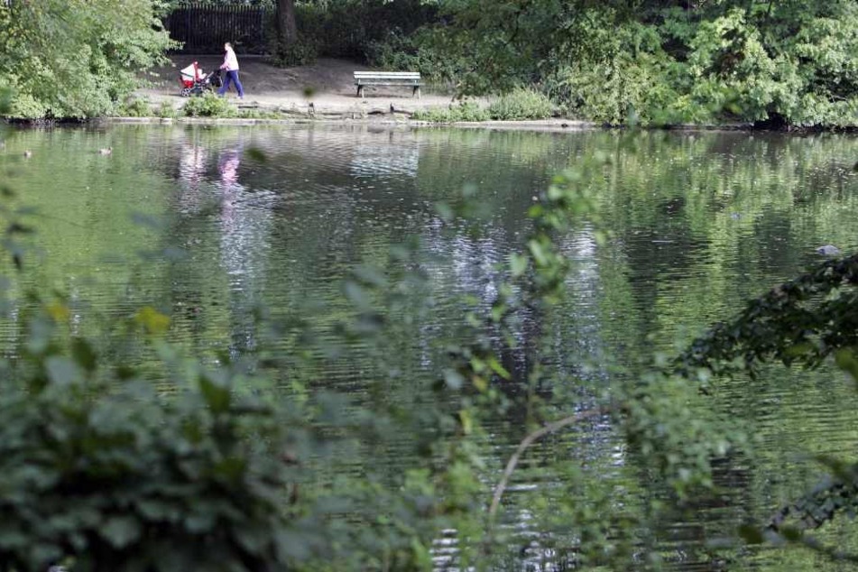 Im Wasser entdeckte der Stadt-Mitarbeiter die Frauenleiche. (Symbolbild)