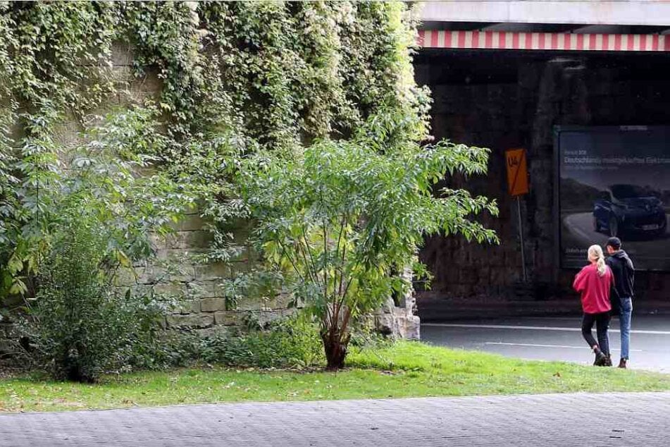 Die Tat ereignete sich in einem Gebüsch hinter der Eisenbahnbrücke.