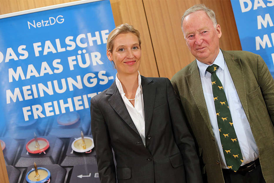 Die Parteispitze (v. li.) Alice Weidl und Alexander Gauland macht gute Miene. An der Veranstaltung werden die AfD-Politiker jedoch nicht teilnehmen.
