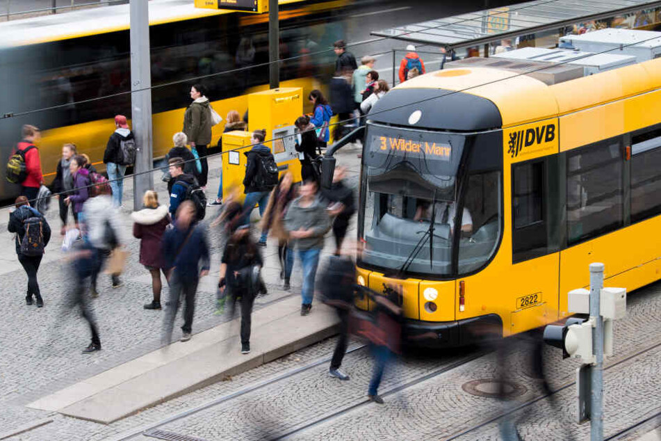 Einen Zusammenstoß konnte der Bahnfahrer gerade noch verhindern.