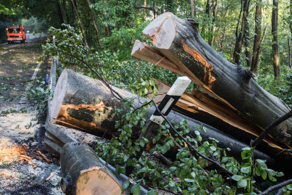 Im Raum Wiesbaden hinterließ das Unwetter schwere Schäden.