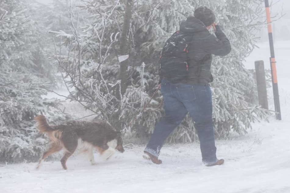 Gassigehen war im Erzgebirge am Wochenende eine Herausforderung: Zu Minusgraden und Schnee kamen auch noch Sturmböen.