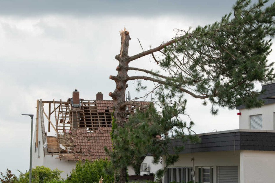 Ein zerstörter Baum steht vor einem Haus dessen Ziegel durch den Sturm abgedeckt wurden.