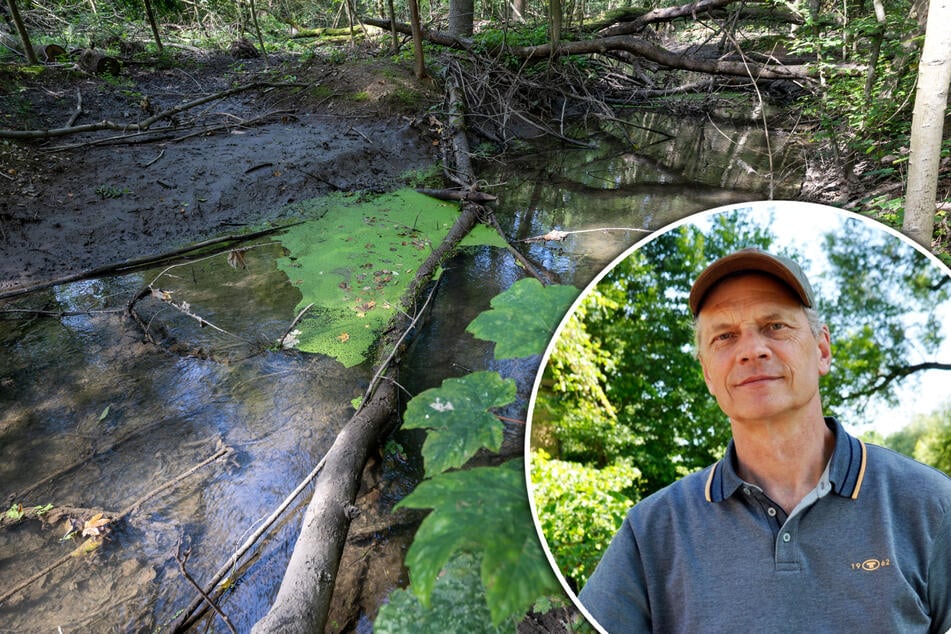Leipzig: Der Auwald als Schwamm? So soll "SpongeBoost" Leipzigs Wasser retten