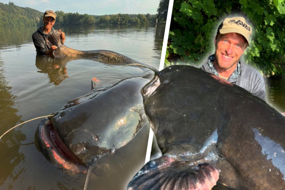 Wahnsinnsfang: Riesiger Wels überrascht Angler