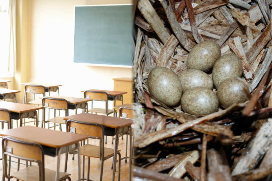 Die Klassenräume der Hauptschule Johann-Amos-Comenius bleiben erstmal leer. (Symbolbild)