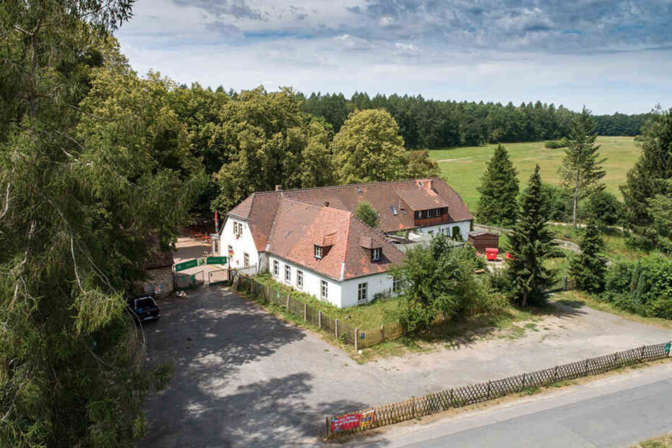 Die Hofewiese hat sich zum Zentrum der Heide entwickelt. Bei schönem Wetter reichen die 420 Sitzplätze nicht aus.