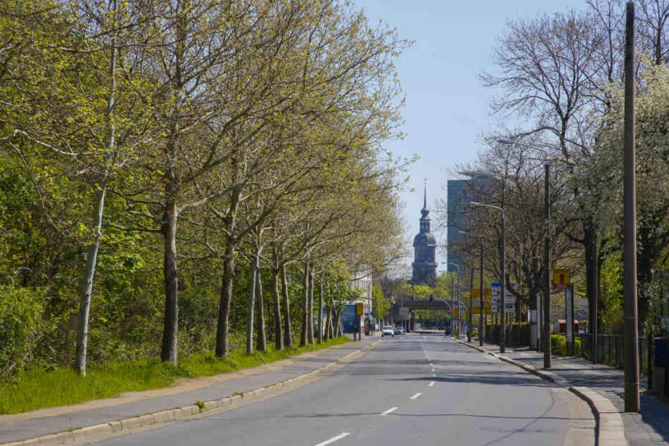 Statt vierspurigem Zubringer ist die "Magdeburger" heute eine schöne Allee - und so soll's auch bleiben.
