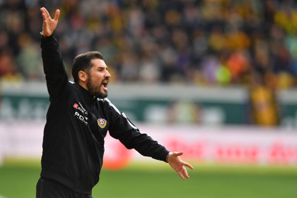 Dynamos neuer Cheftrainer Cristian Fiel dirigierte an der Seitenlinie.
