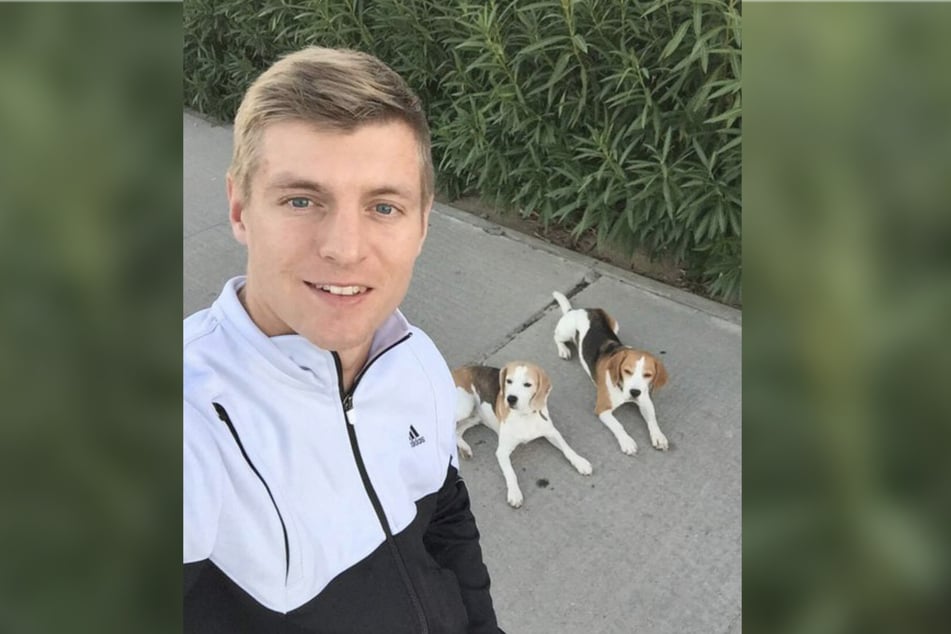 Ist seit Jahren leidenschaftlicher Hundebesitzer: Toni Kroos mit seinen beiden Vierbeinern Lennox und Julius im Jahr 2015. (Archivbild)