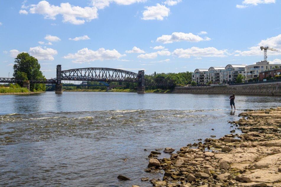 Niedrigwasser an der Elbe: 2025 war ein sehr trockenes Jahr für Sachsen.
