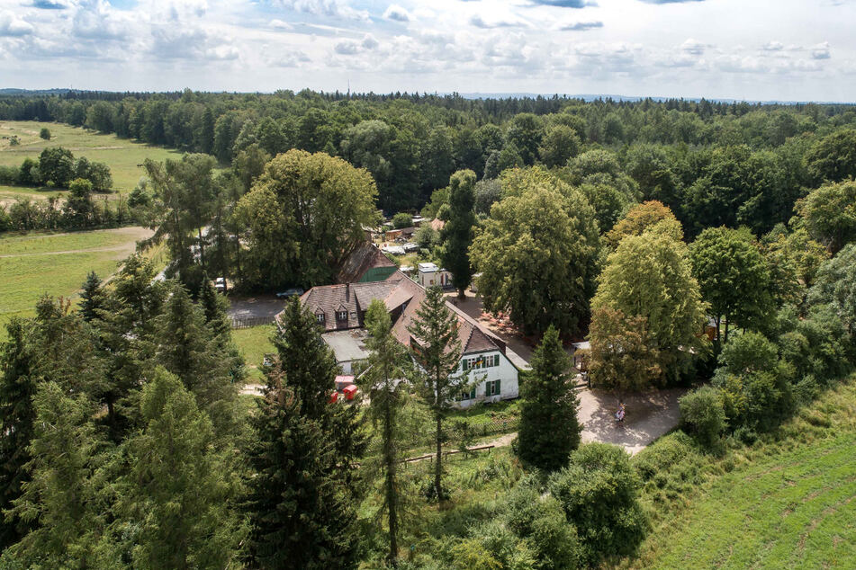 Auf dem Landgut Hofewiese wird zum Waldtrödelmarkt geladen.