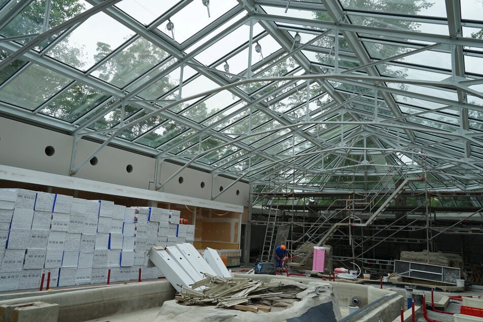 Im Juni war die historische Glasdecke schon fertig und die neuen Schaubecken auf der Zielgeraden. (Archivfoto)