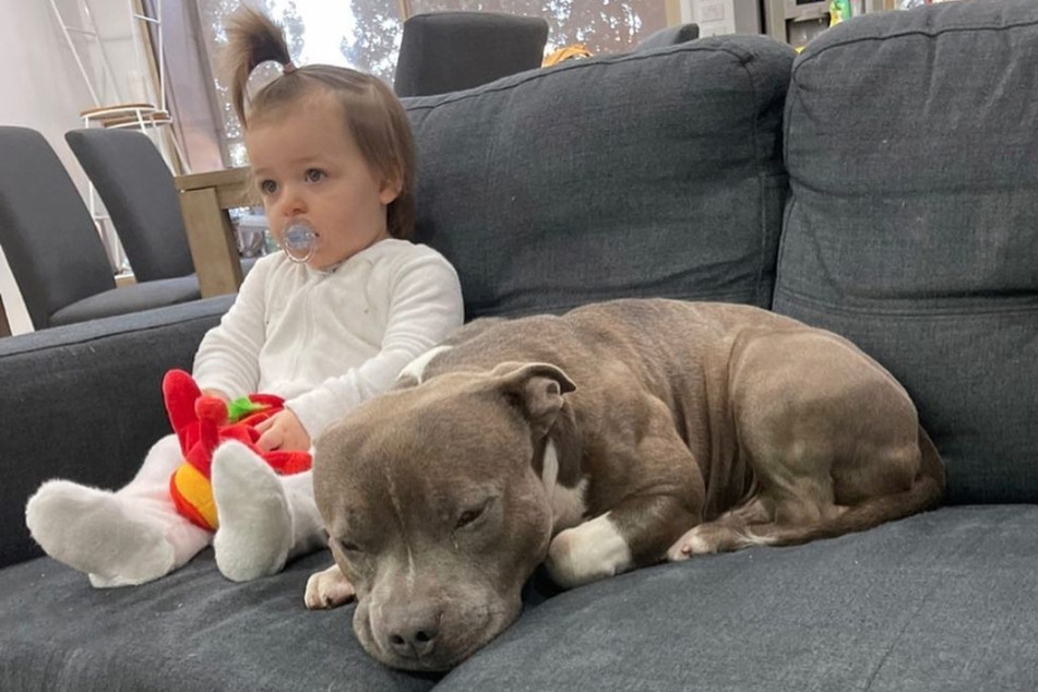 Amiyah und Brick sind einfach die besten Freunde.